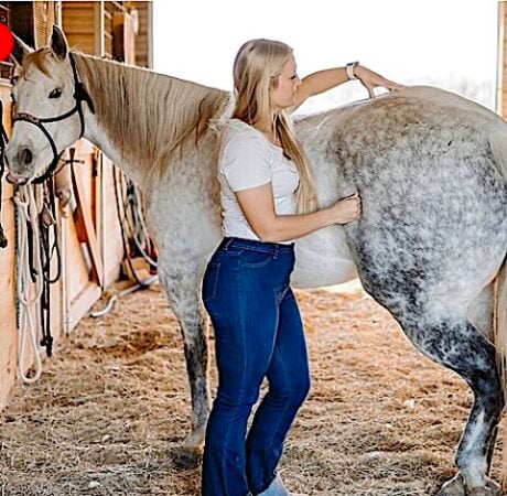EQUINE MASSAGE: certification course